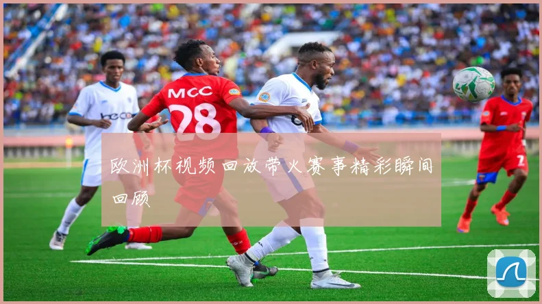 欧洲杯视频回放带火赛事精彩瞬间回顾