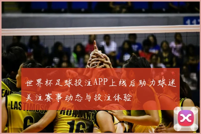 世界杯足球投注APP上线后助力球迷关注赛事动态与投注体验