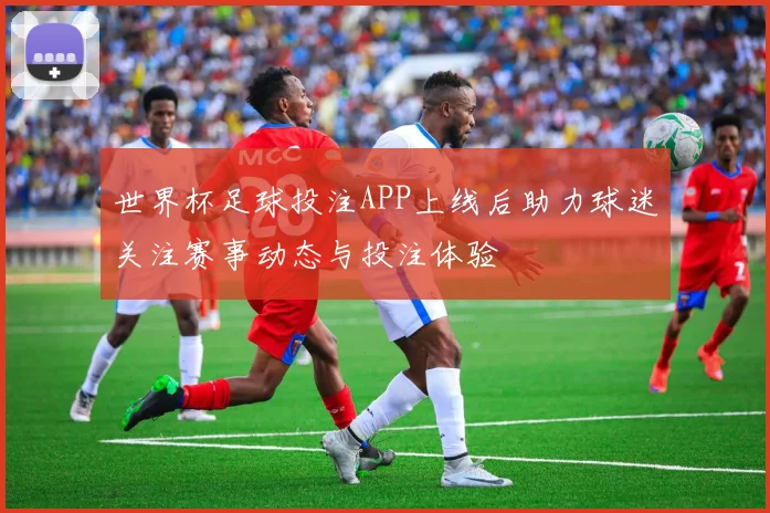 世界杯足球投注APP上线后助力球迷关注赛事动态与投注体验